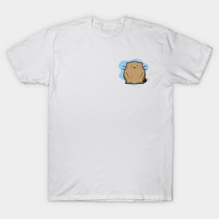 Otter T-Shirt